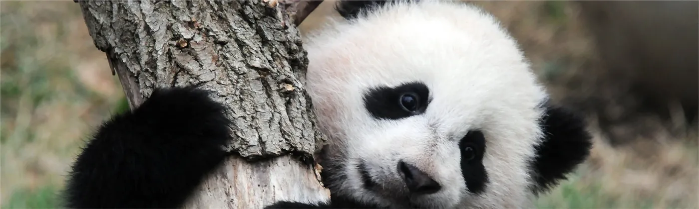 Antalya’da Kiralık Ev İçin Rota Panda Portatif Klima Düşünülür mü?
